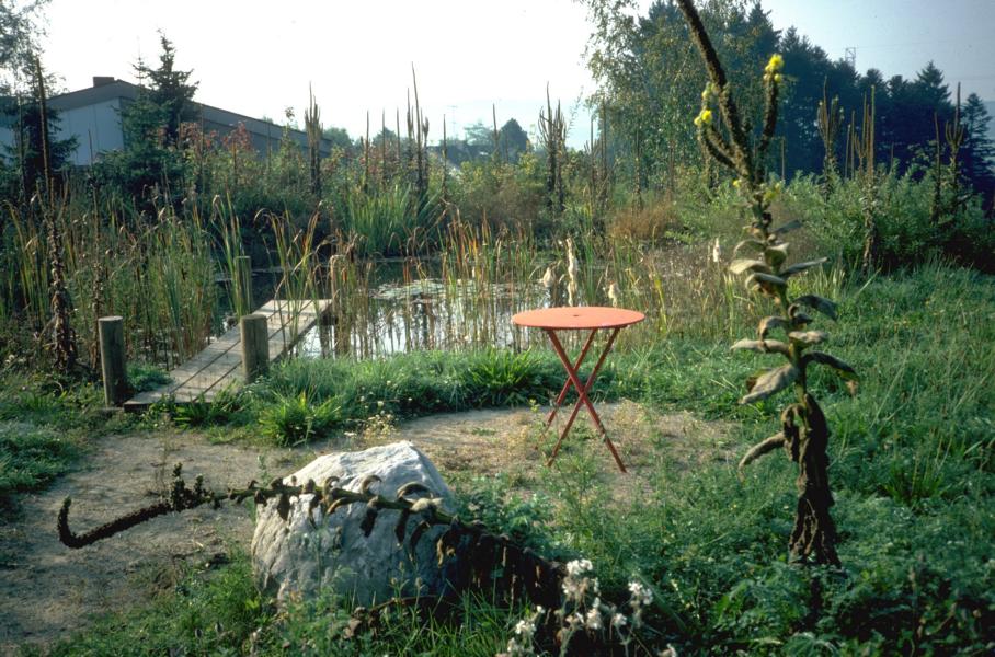 Wildgarten mit Teich